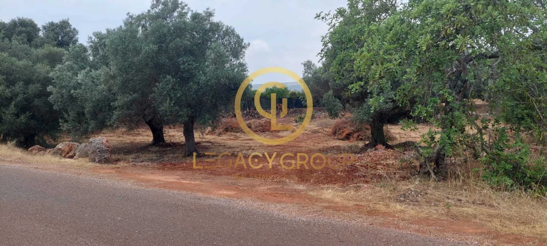 Terreno para Venda em Alte Foto 7