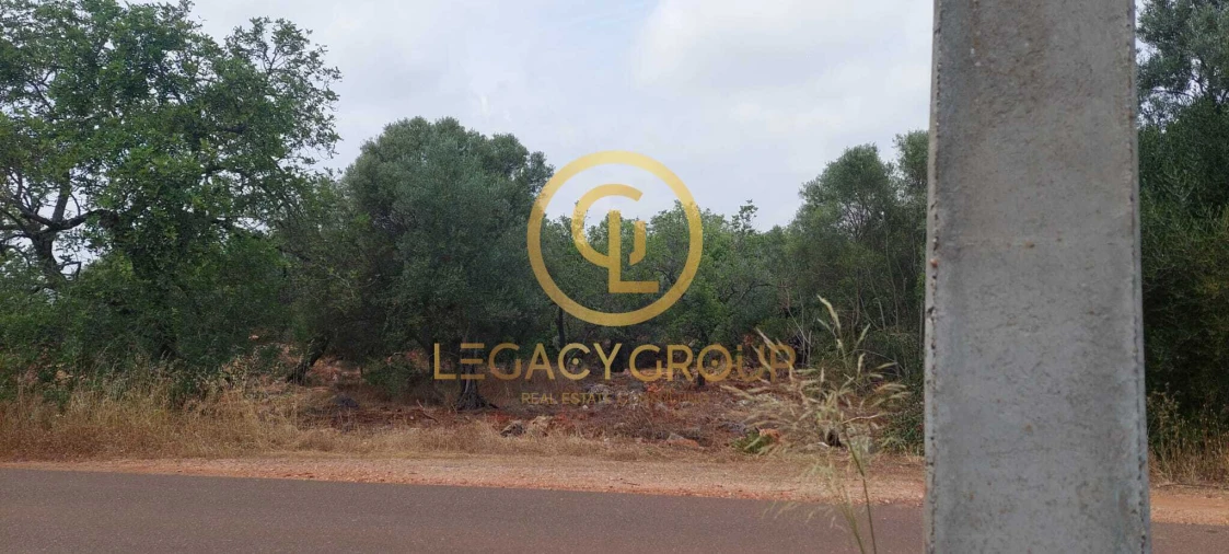 Terreno para Venda em Alte Foto 3