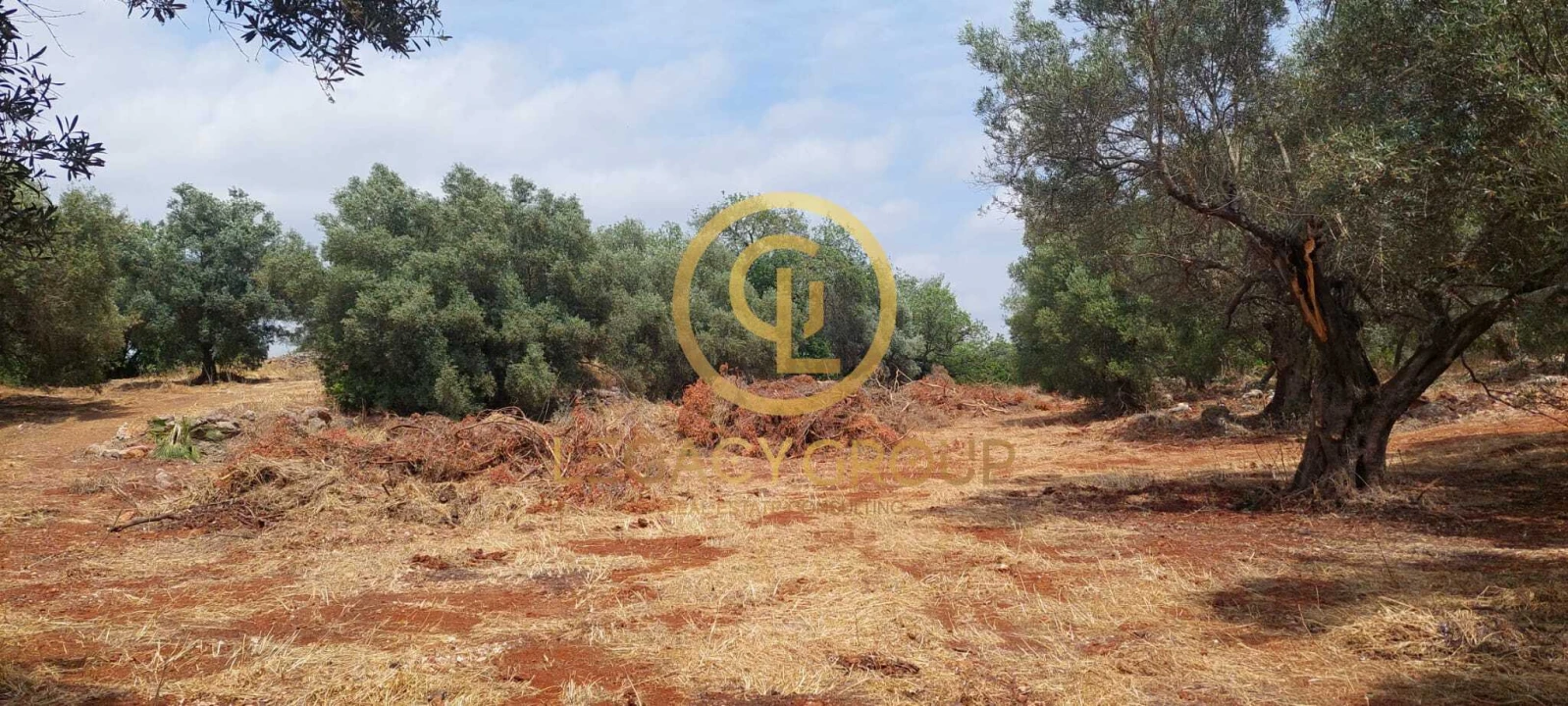 Terreno para Venda em Alte Foto 15