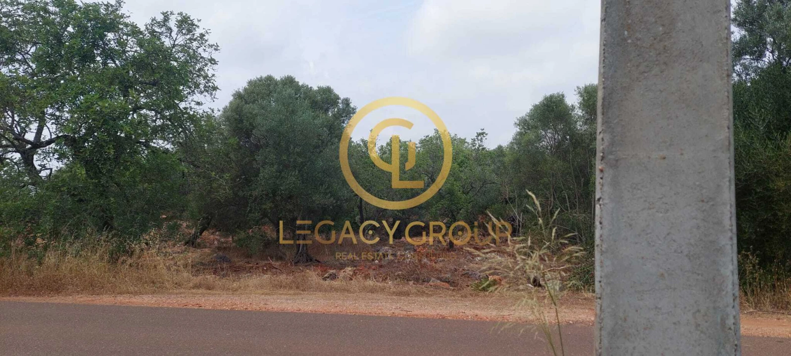 Terreno para Venda em Alte Foto 3