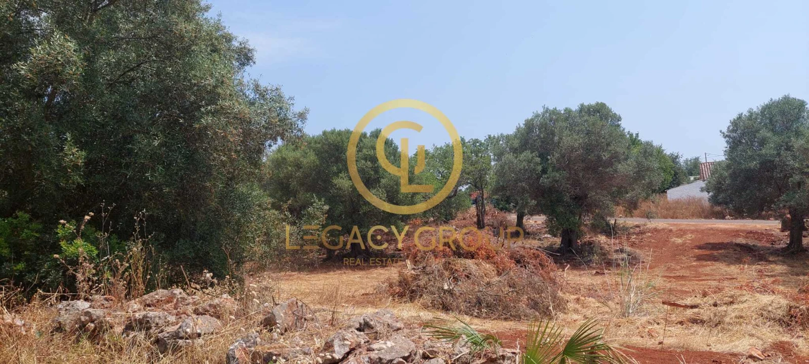 Terreno para Venda em Alte Foto 18