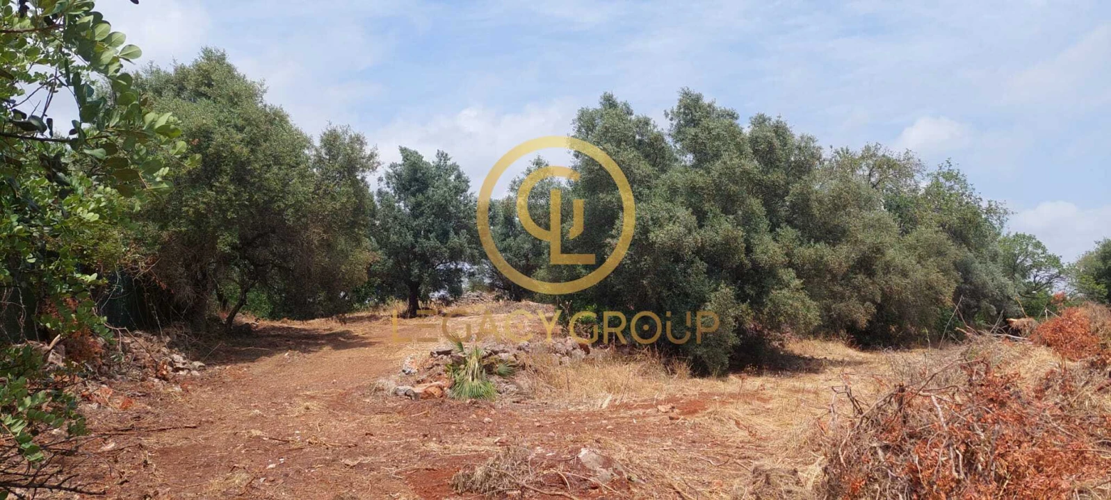 Terreno para Venda em Alte Foto 17