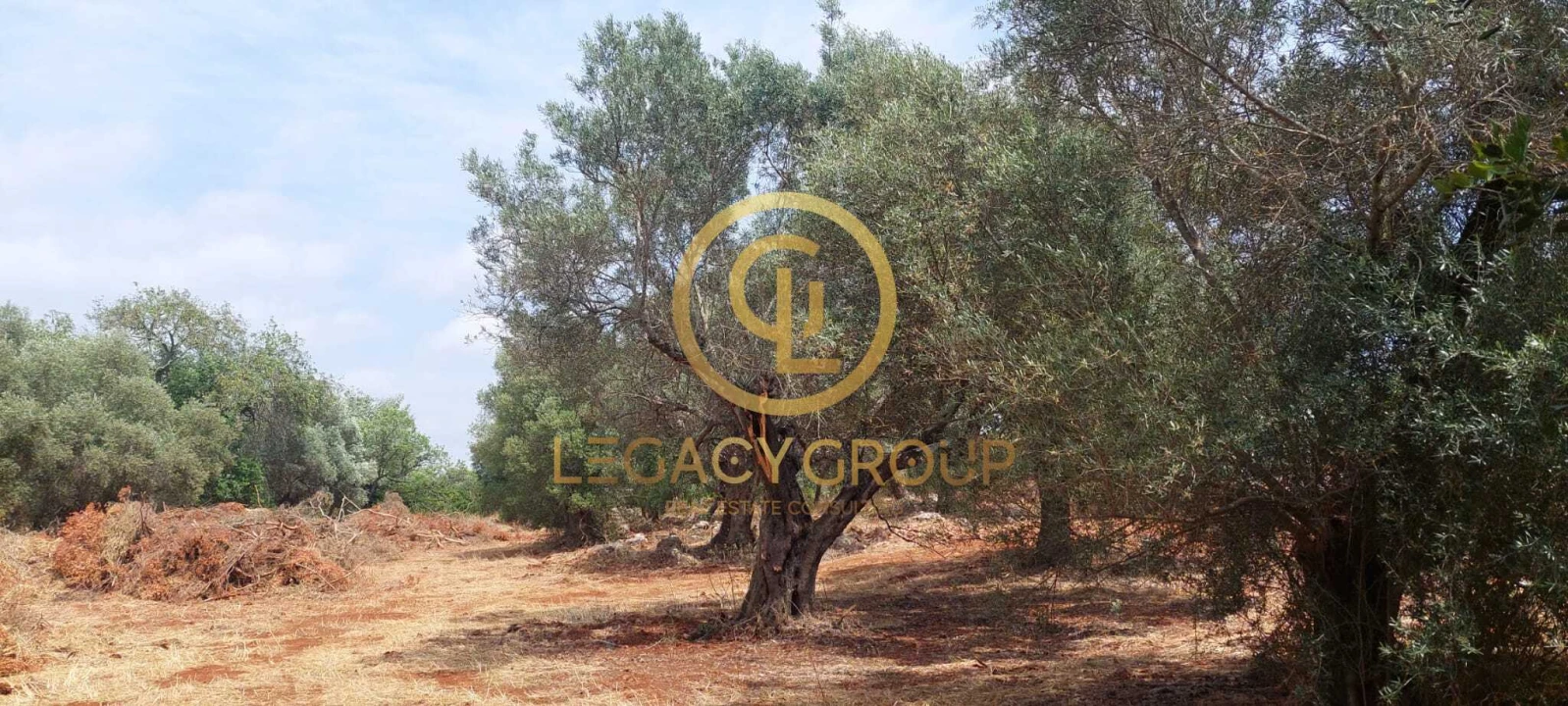 Terreno para Venda em Alte Foto 14