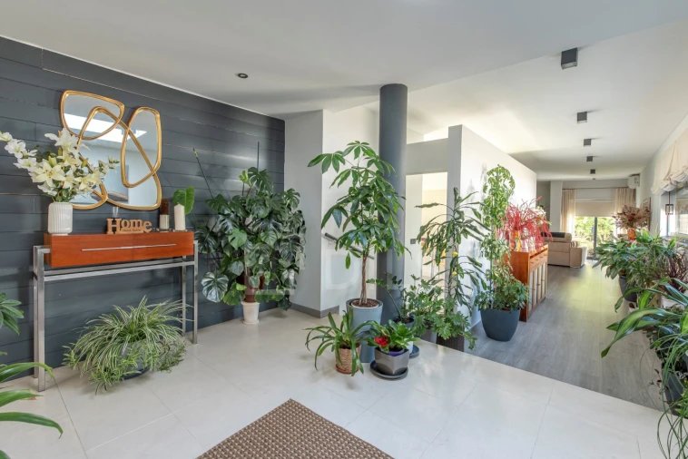 Moradia T4 para Venda em Santa Maria do Castelo e Santiago e Santa Susana Foto 10