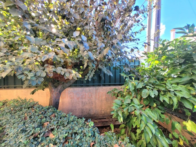 Moradia T3 para Venda em Amora Foto 39