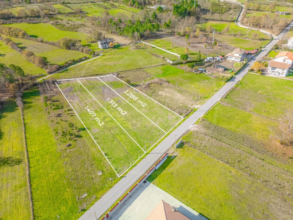Terreno Agricola ou Rústico para Venda em Telões Foto 8
