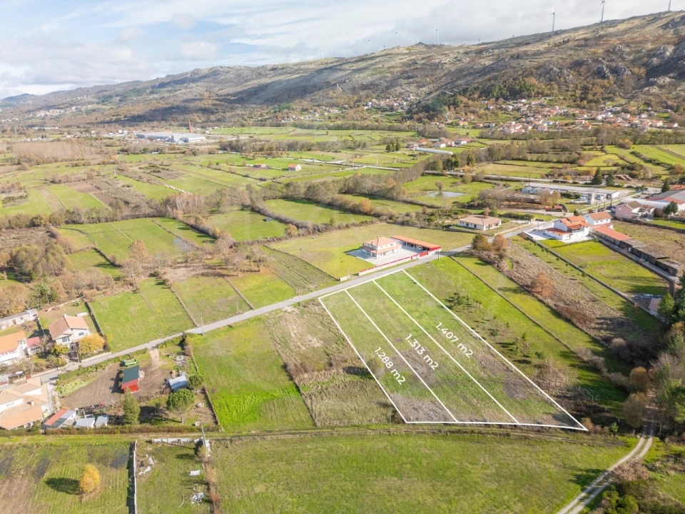 Terreno Agricola ou Rústico para Venda em Telões Foto 9