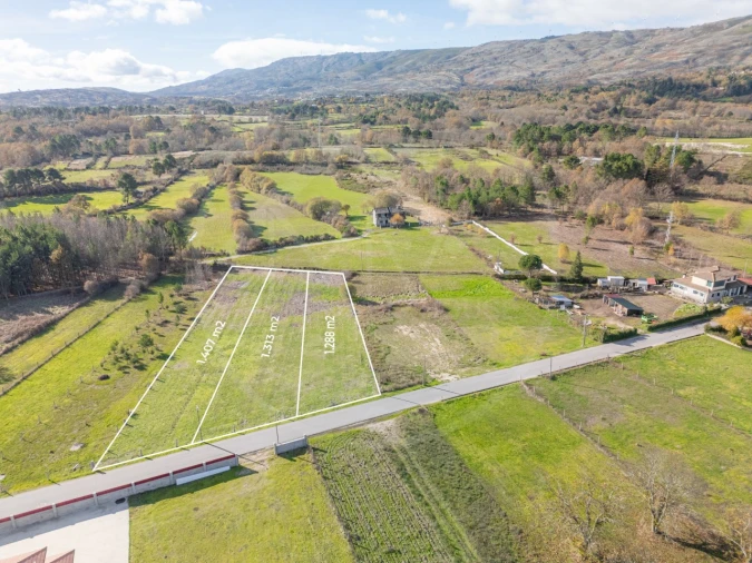 Terreno Agricola ou Rústico para Venda em Telões Foto 6