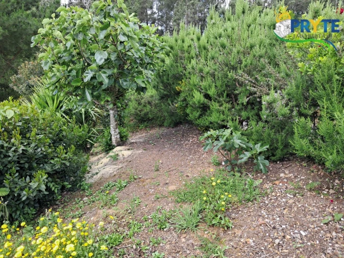 Moradia T2 para Venda em Cabeçudo Foto 32