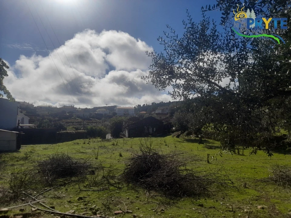 Terreno para Venda em Proença-A-Nova e Peral Foto 2