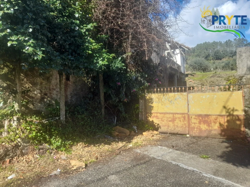 Terreno para Venda em Proença-A-Nova e Peral Foto 3