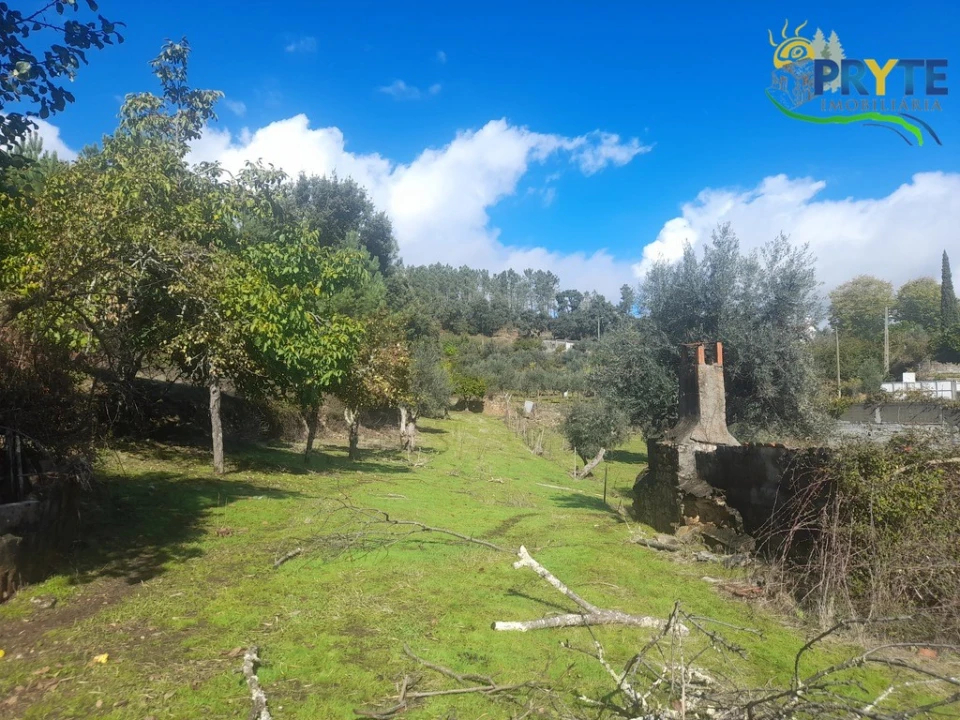Terreno para Venda em Proença-A-Nova e Peral Foto 5