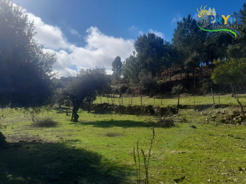 Terreno para Venda em Proença-A-Nova e Peral Foto 17