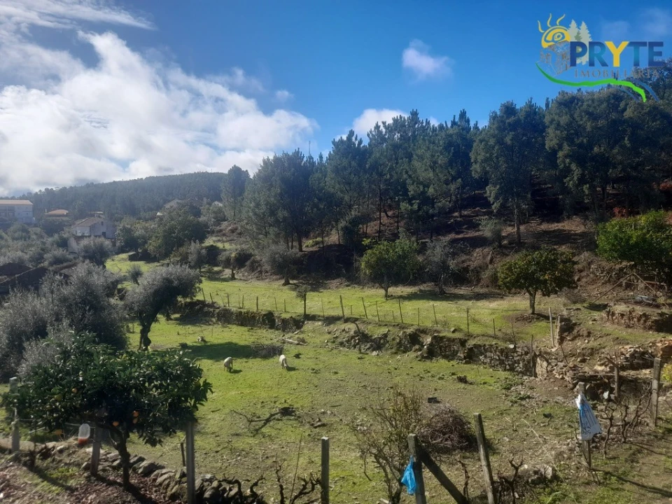 Terreno para Venda em Proença-A-Nova e Peral Foto 21