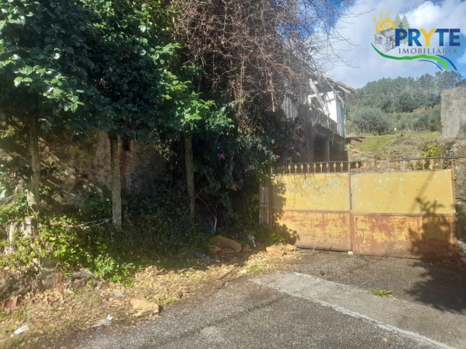 Terreno para Venda em Proença-A-Nova e Peral Foto 3