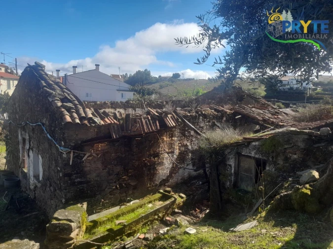 Terreno para Venda em Proença-A-Nova e Peral Foto 4