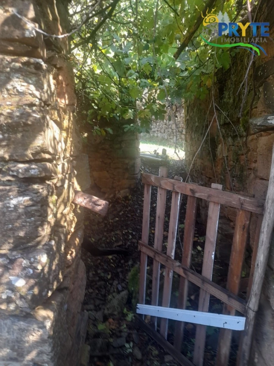 Terreno para Venda em Proença-A-Nova e Peral Foto 11