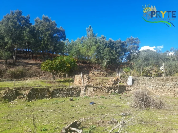 Terreno para Venda em Proença-A-Nova e Peral Foto 16