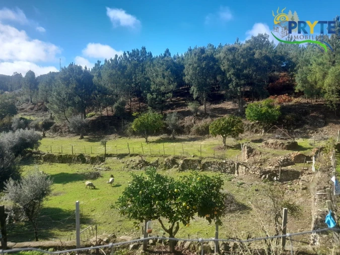 Terreno para Venda em Proença-A-Nova e Peral Foto 20