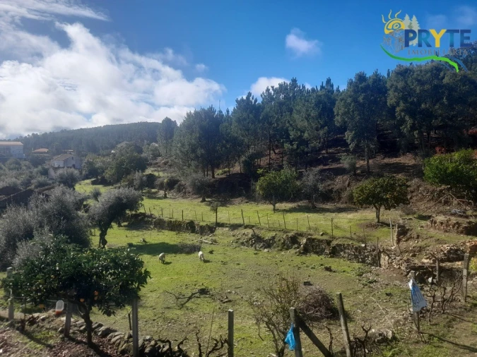 Terreno para Venda em Proença-A-Nova e Peral Foto 21