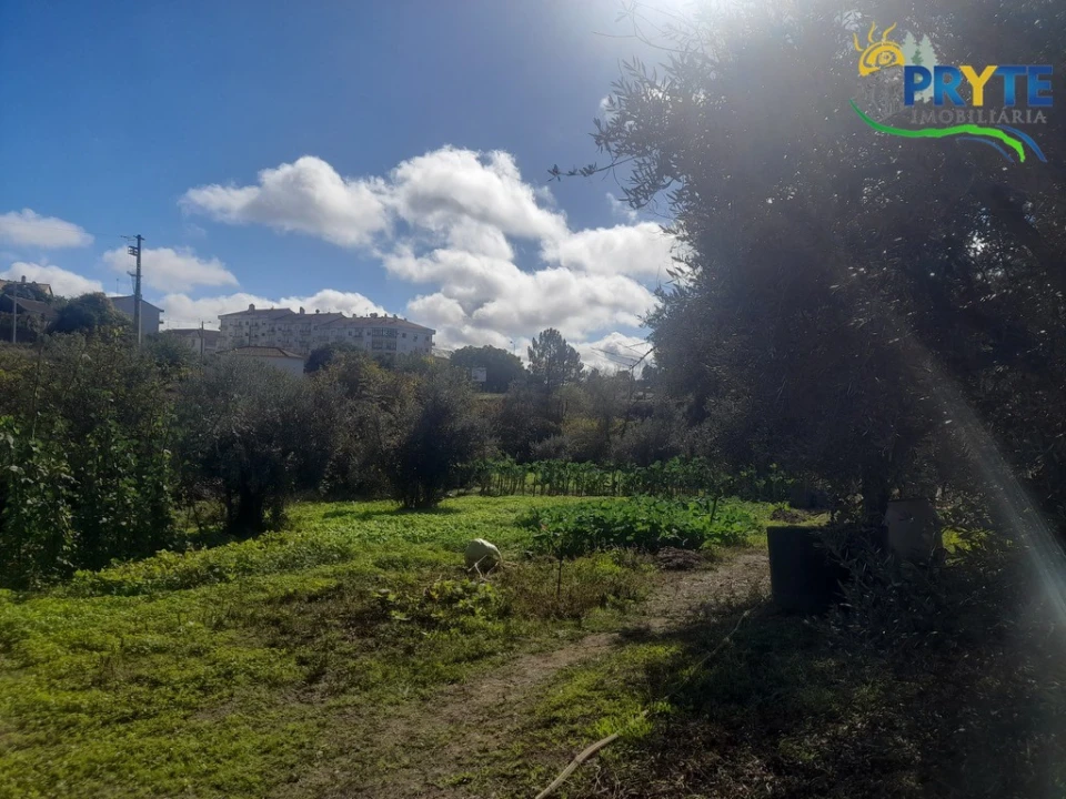 Terreno para Venda em Proença-A-Nova e Peral Foto 1