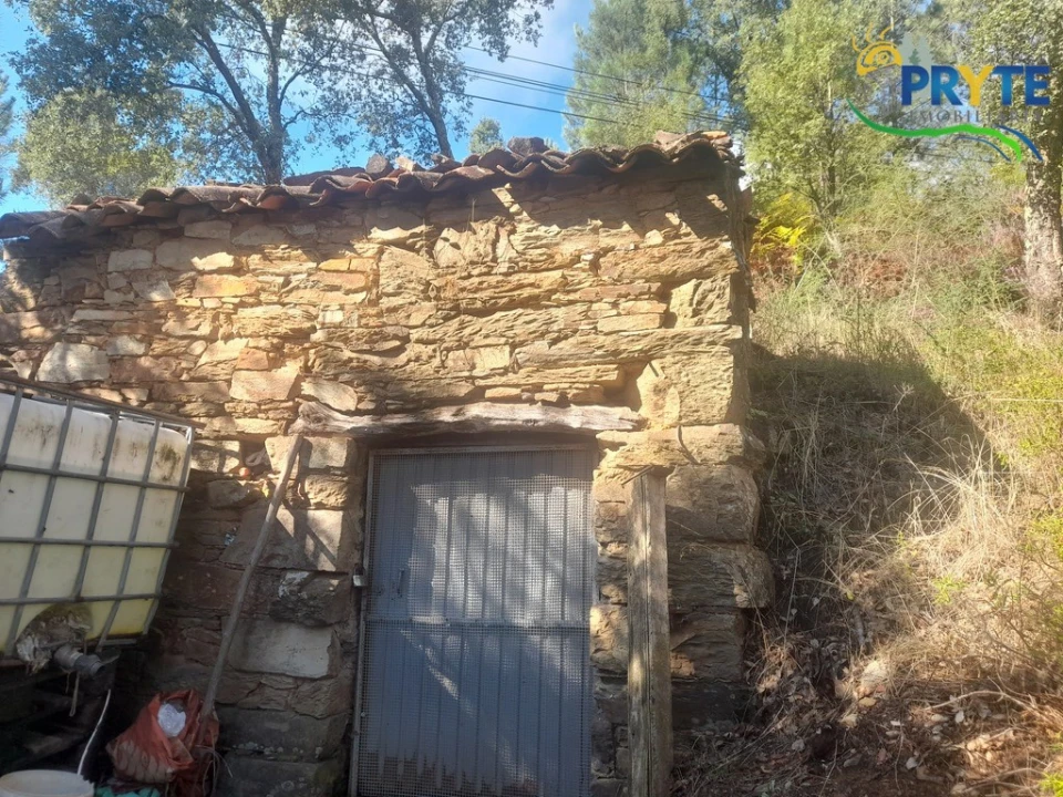 Terreno para Venda em Proença-A-Nova e Peral Foto 7