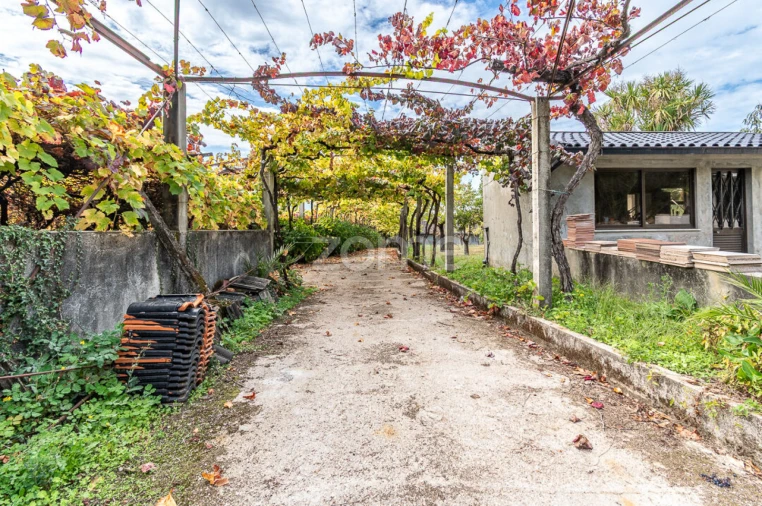 Quinta T10 para Venda em Vila e Roussas Foto 54