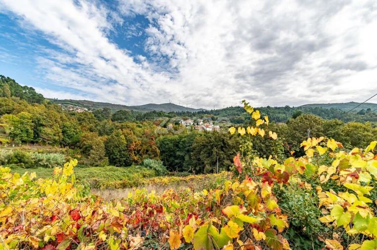 Quinta T10 para Venda em Vila e Roussas Foto 44