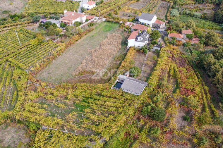 Quinta T10 para Venda em Vila e Roussas Foto 60