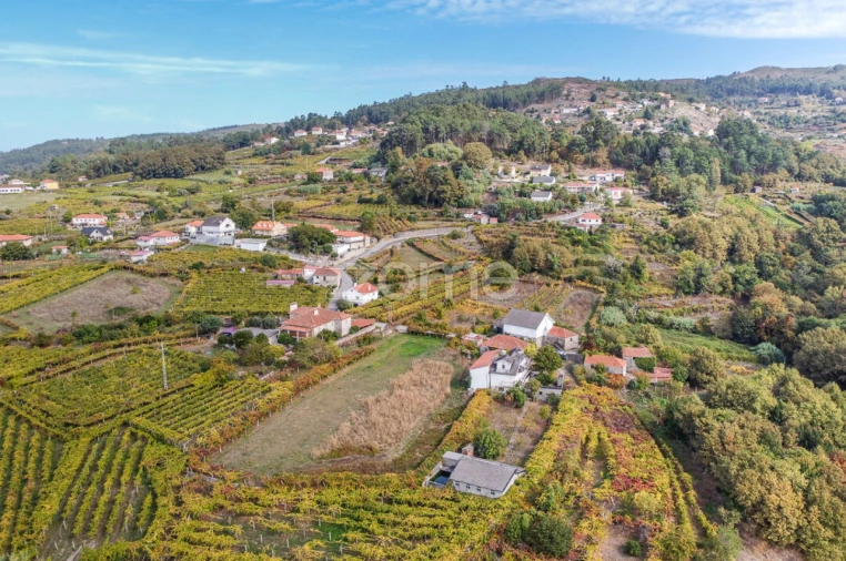 Quinta T10 para Venda em Vila e Roussas Foto 61