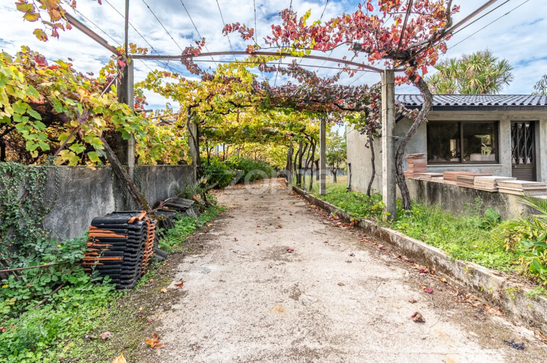 Quinta T10 para Venda em Vila e Roussas Foto 54