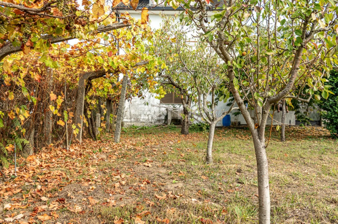 Quinta T10 para Venda em Vila e Roussas Foto 57