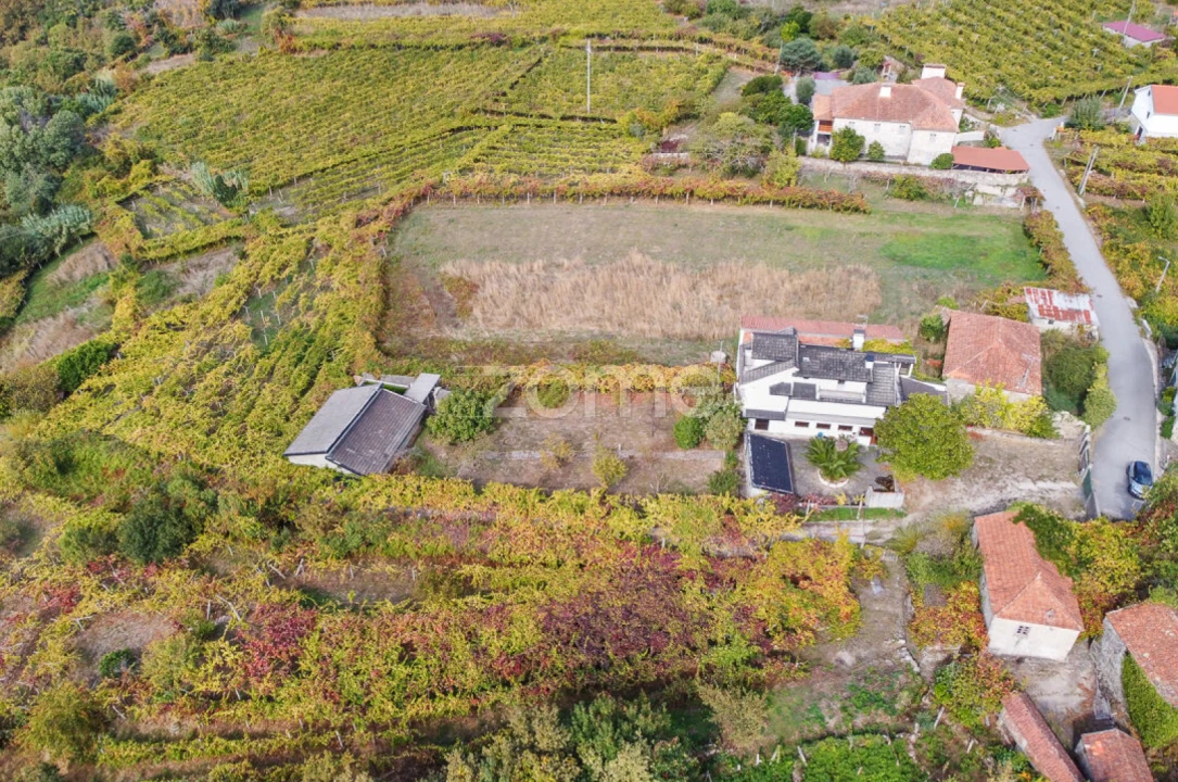 Quinta T10 para Venda em Vila e Roussas Foto 7