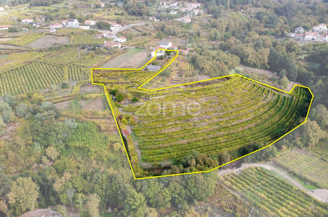 Quinta T10 para Venda em Vila e Roussas Foto 5