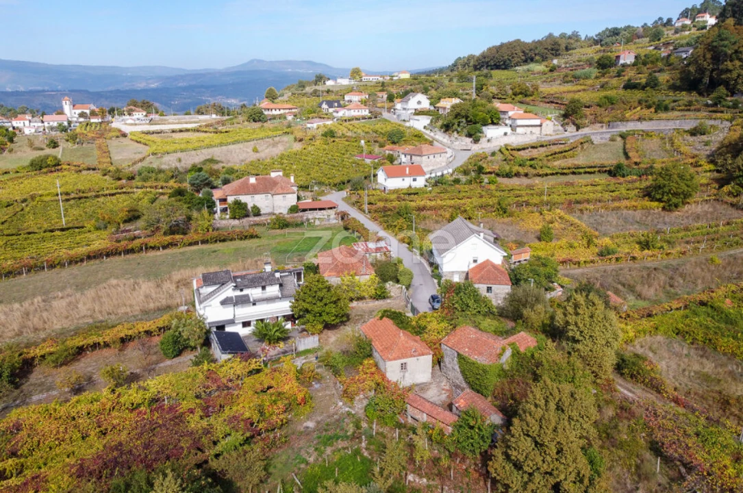Quinta T10 para Venda em Vila e Roussas Foto 65