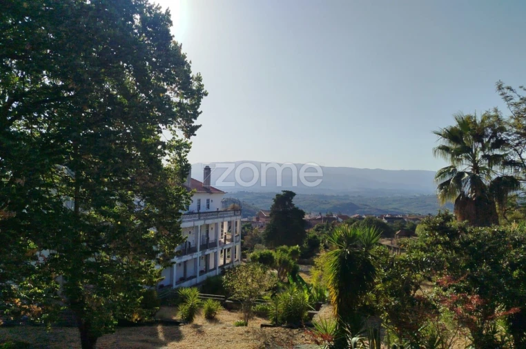 Negócio para Venda em Abrunhosa-A-Velha Foto 3