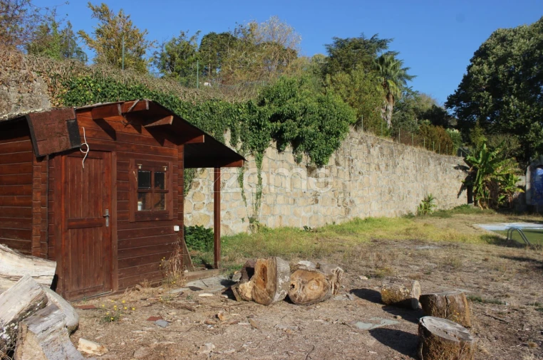 Negócio para Venda em Abrunhosa-A-Velha Foto 42