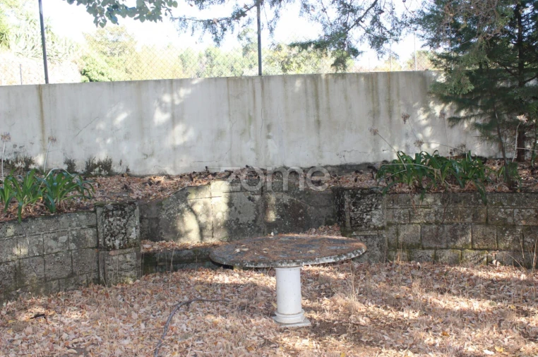 Negócio para Venda em Abrunhosa-A-Velha Foto 43