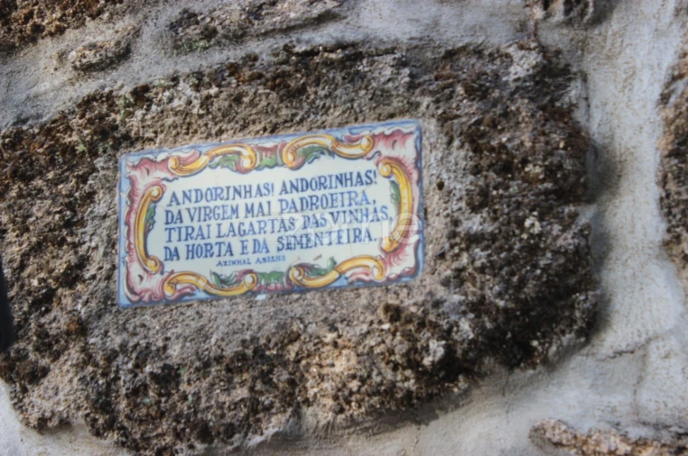 Negócio para Venda em Abrunhosa-A-Velha Foto 61