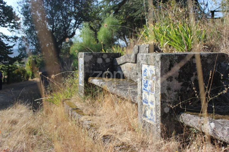 Negócio para Venda em Abrunhosa-A-Velha Foto 60