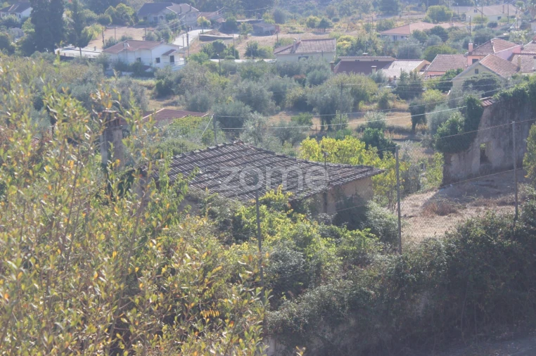 Negócio para Venda em Abrunhosa-A-Velha Foto 66