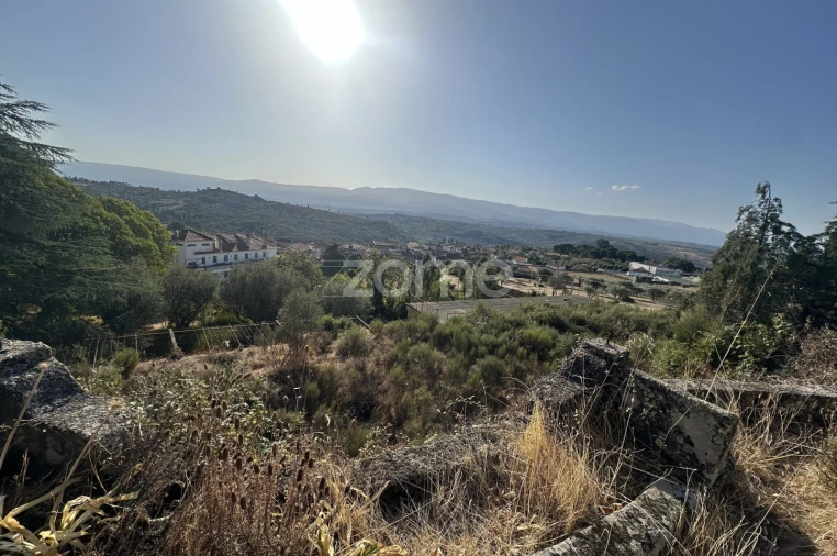 Negócio para Venda em Abrunhosa-A-Velha Foto 19