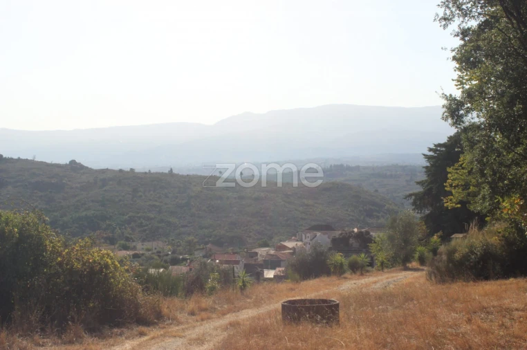 Negócio para Venda em Abrunhosa-A-Velha Foto 63