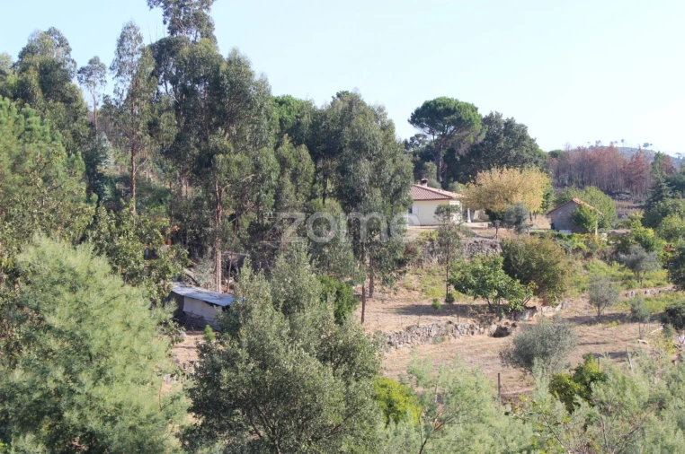 Negócio para Venda em Abrunhosa-A-Velha Foto 65