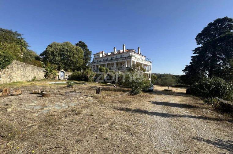 Negócio para Venda em Abrunhosa-A-Velha Foto 9