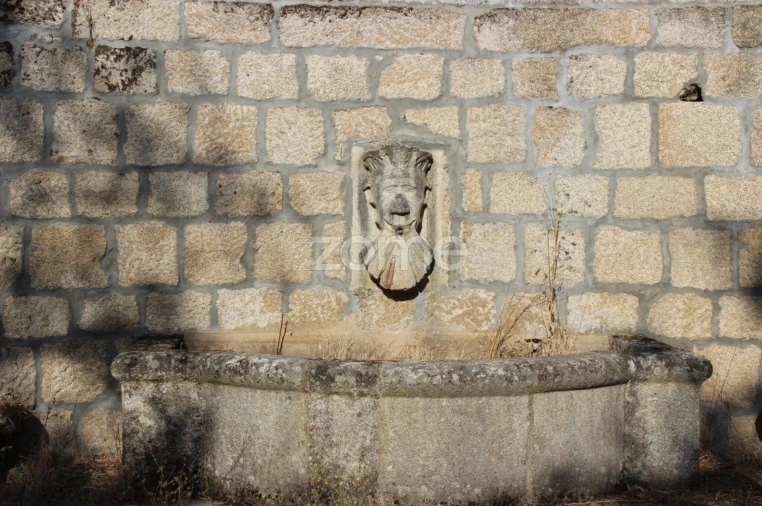 Negócio para Venda em Abrunhosa-A-Velha Foto 46