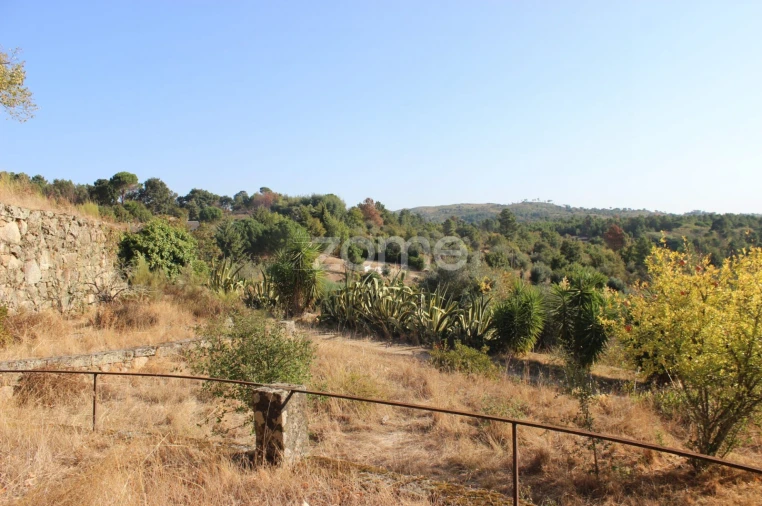 Negócio para Venda em Abrunhosa-A-Velha Foto 74