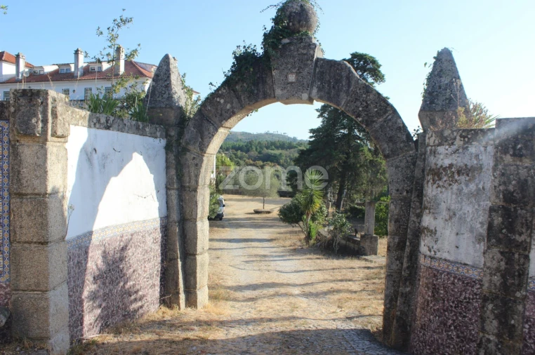 Negócio para Venda em Abrunhosa-A-Velha Foto 39