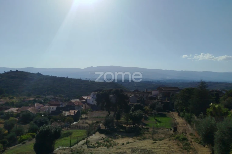 Negócio para Venda em Abrunhosa-A-Velha Foto 1