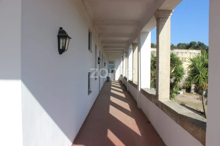 Negócio para Venda em Abrunhosa-A-Velha Foto 10